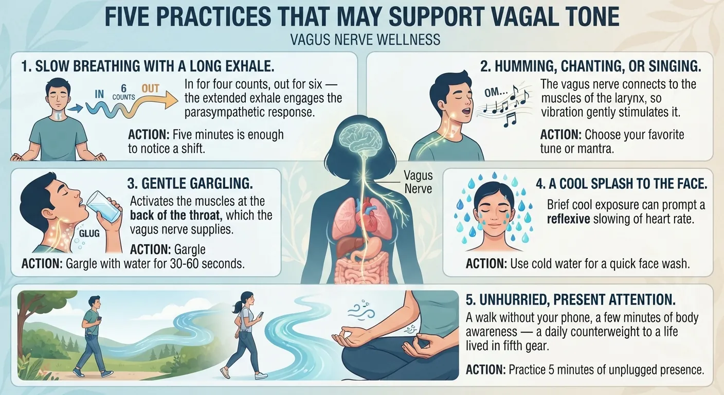 Infographic of five practices that may support vagal tone, including slow breathing, humming and gargling