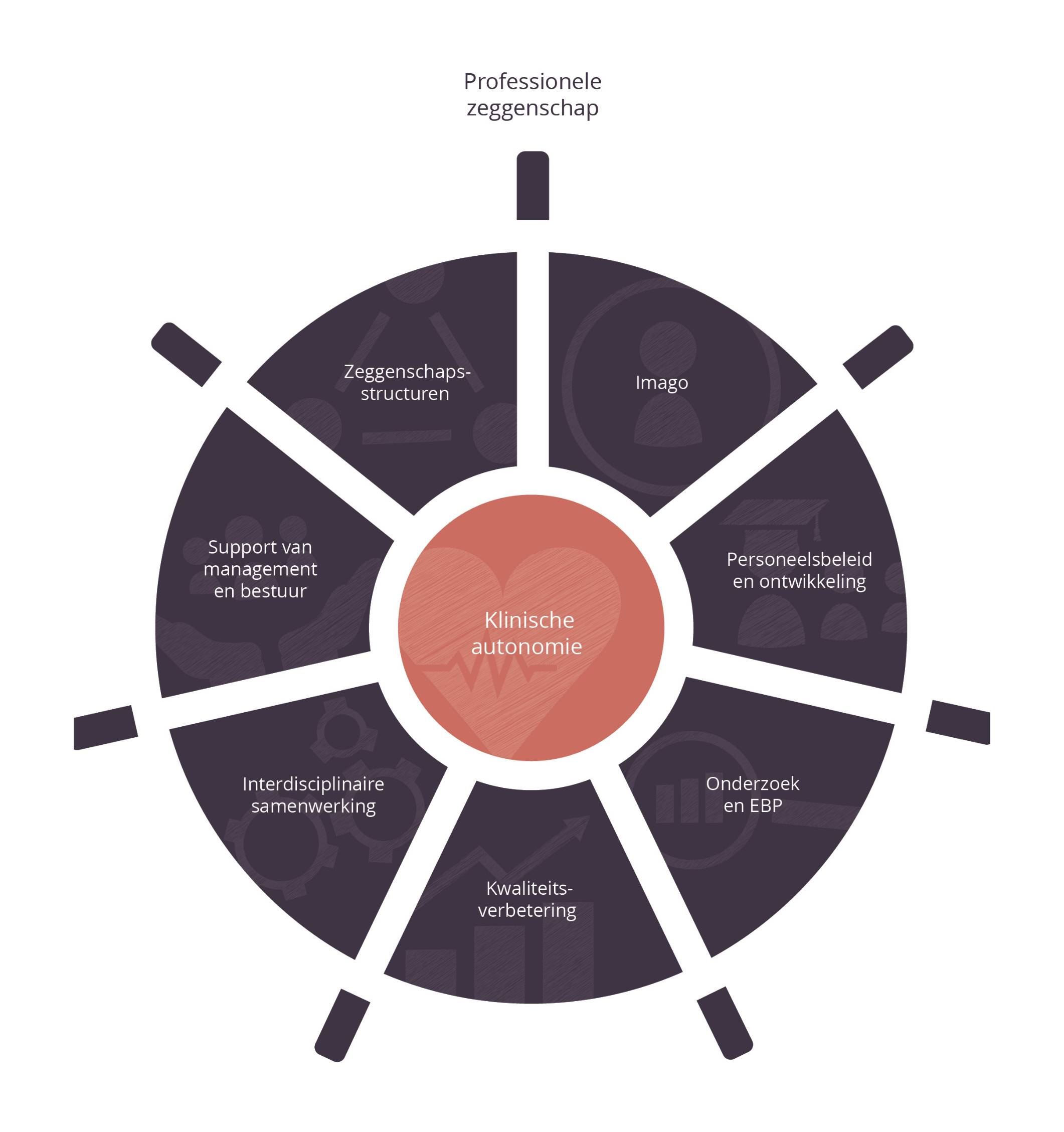 Model voor professionele zeggenschap in de zorg