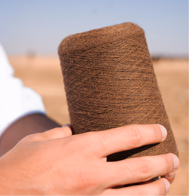 Close-up of a hand holding a large industrial spool of refined, undyed brown camel hair yarn against a blurred desert horizon, representing the 'forgotten jewel' of Arabia.