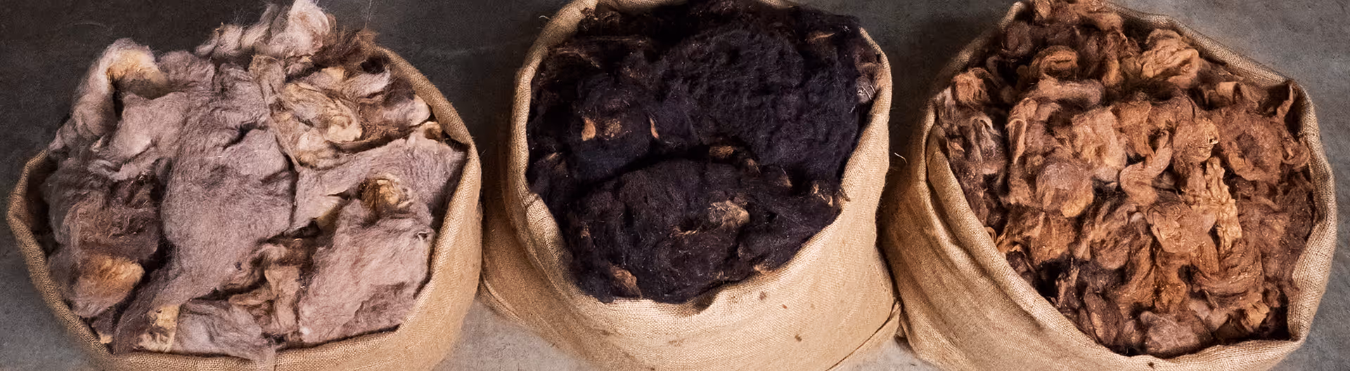 Three burlap sacks showcasing the natural, unbleached color spectrum of raw Arabian camel hair—grey-brown, deep midnight, and rich sienna—transitioning into the NOUKK fibre journey.