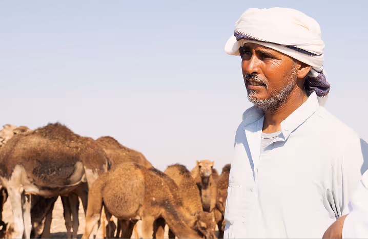 A portrait of a traditional nomadic herder standing with his dromedary camels in the desert, representing NOUKK's transparent luxury supply chain.