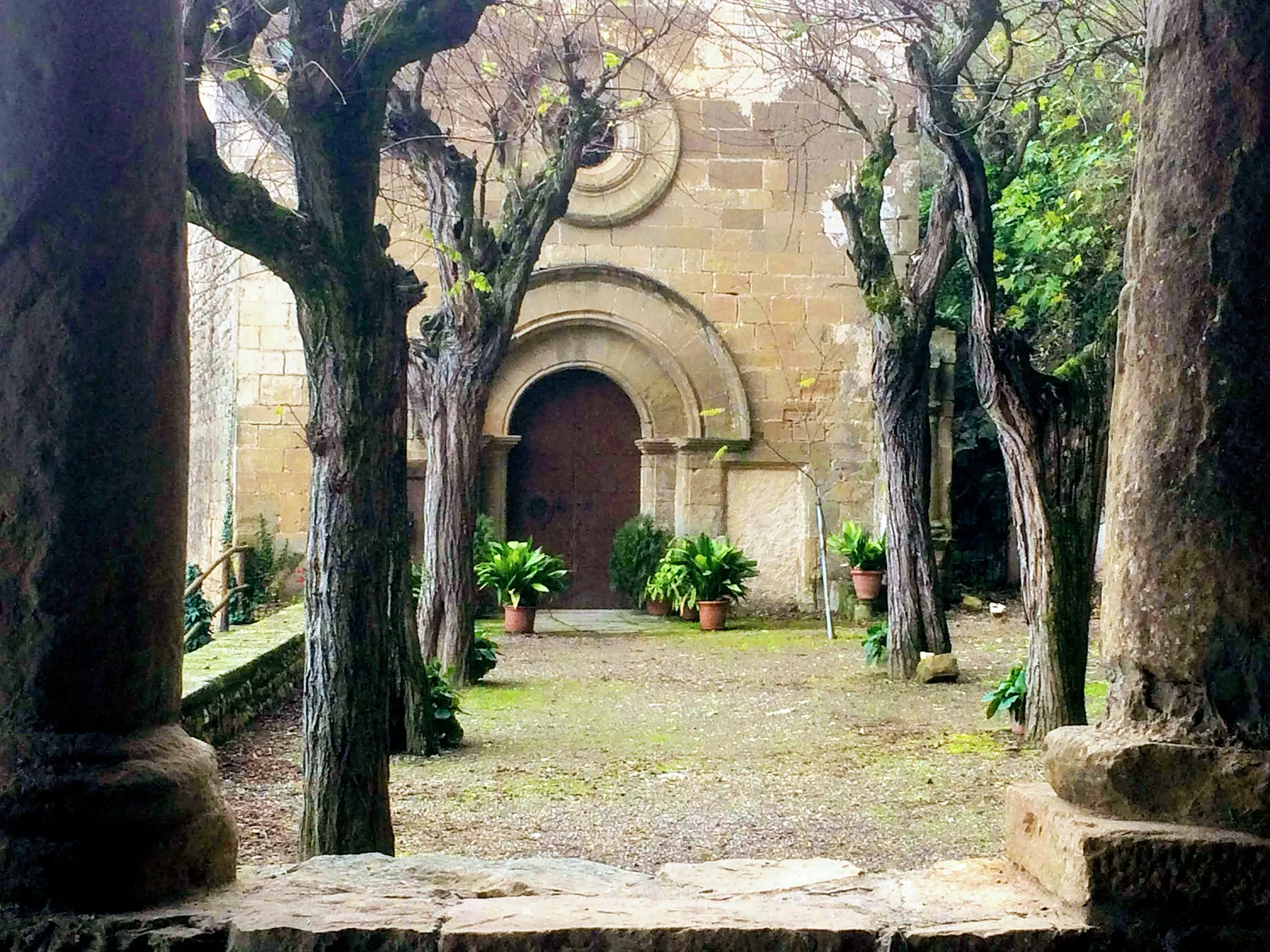 Patio antic amb arbres sense fulles alineats al llarg d'un camí pedregós que porta a una porta arquejada de pedra amb plantes en testos als costats.