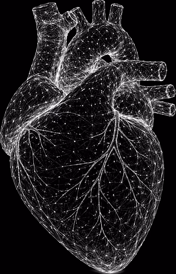 heart
