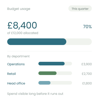 Budget usage report