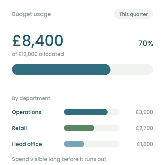 Budget usage report