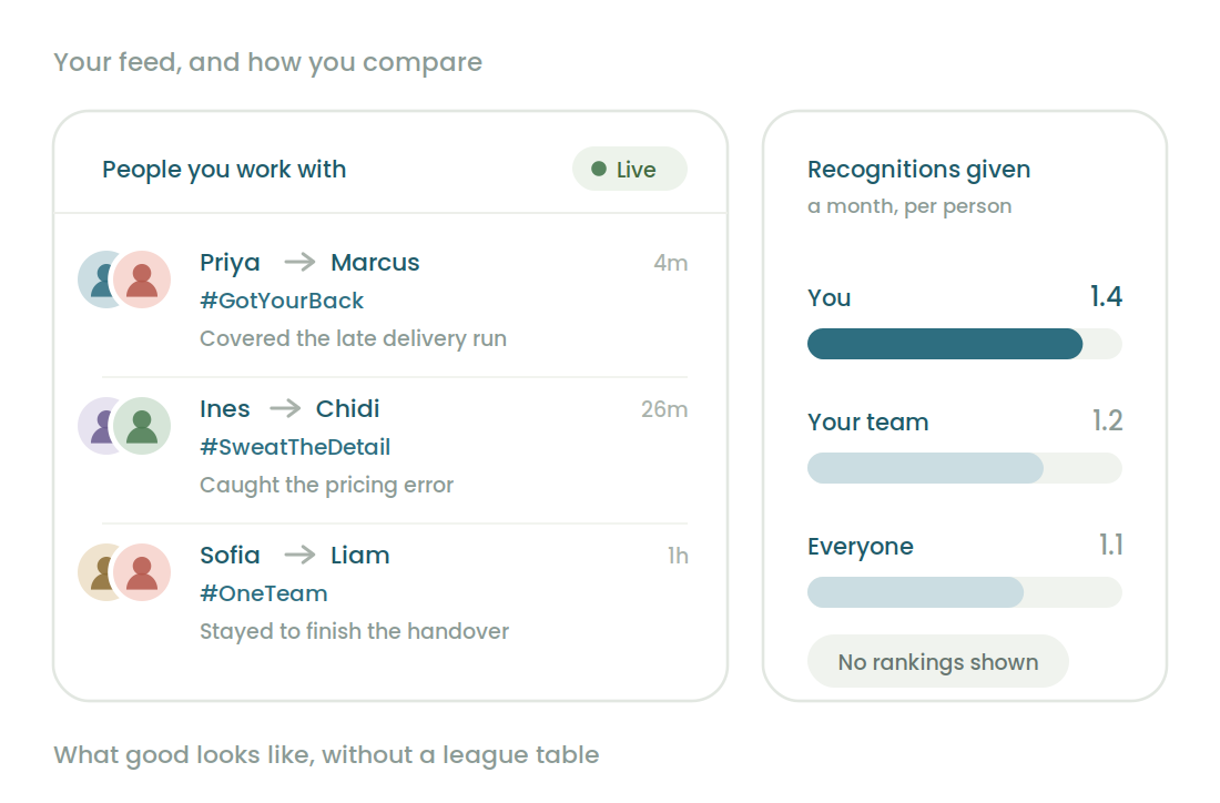 Personalized feed and benchmarking view