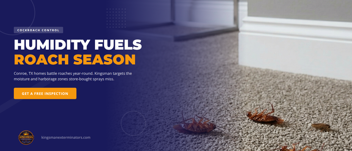 Cockroach control and roach exterminator services in Conroe TX - Kingsman Pest Exterminators