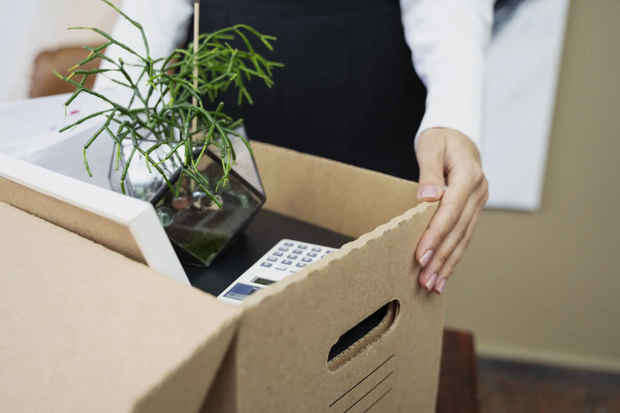 Person holding a cardboard box with a potted plant, calculator, and picture frame inside.