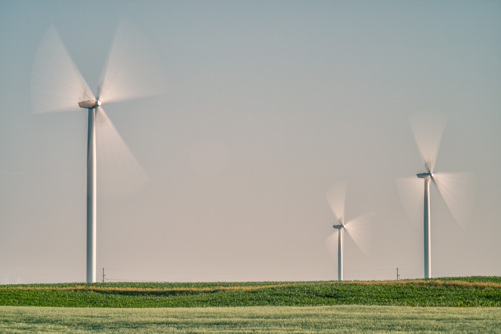 Wind turbines in a field