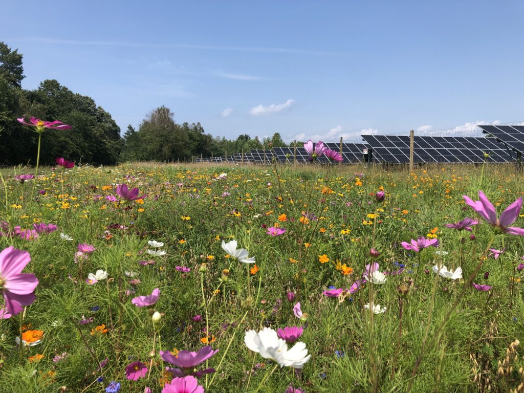 Greenbacker agrivoltaics project