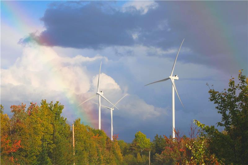 Wind turbines seen over trees