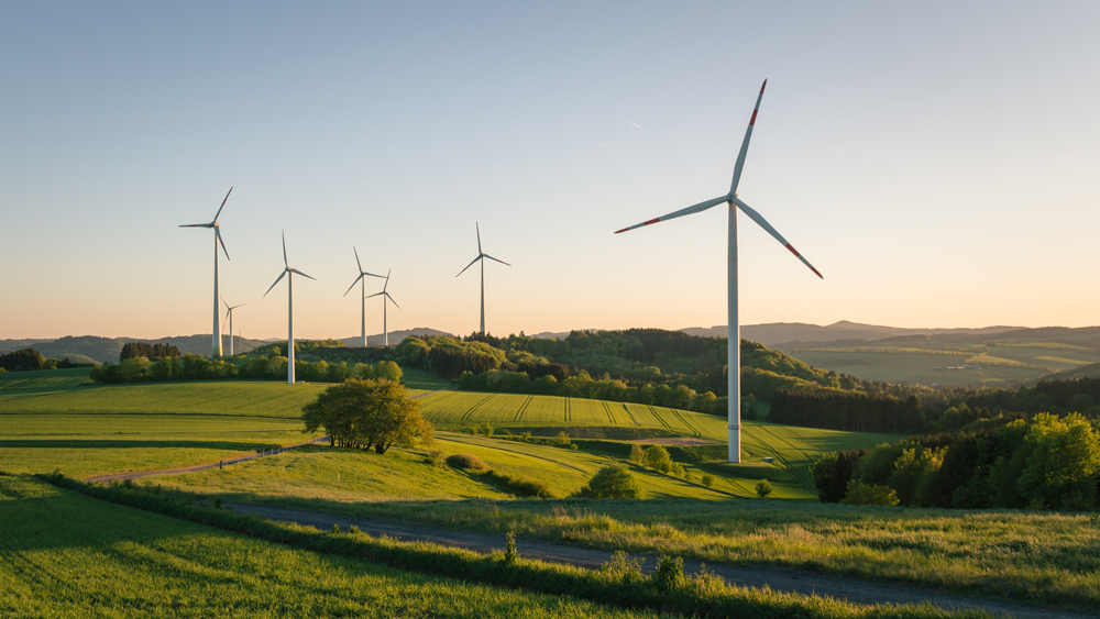Wind turbines dotting a green landscape