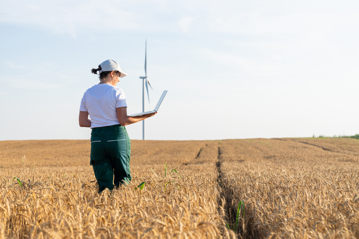 A worker holding a laptop in a field of crops with a wind turbine in the background