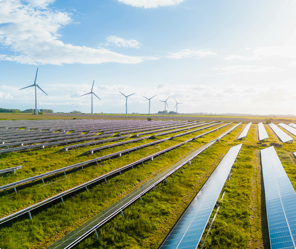Rows of solar panels in a field with wind turbines in the background