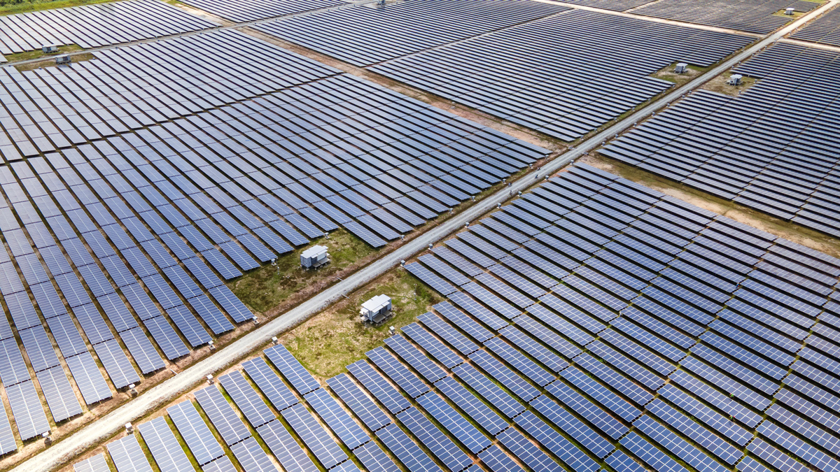 Aerial view of fields full of solar panels