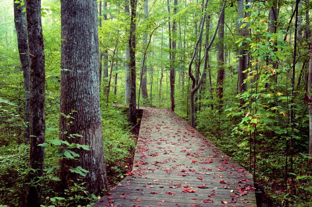 Hemlock Bluffs Nature Preserve