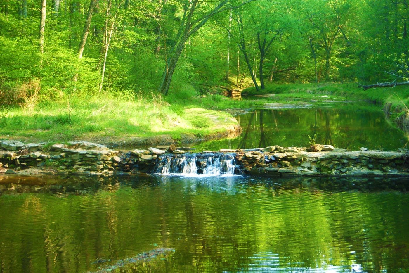 William B. Umstead State Park