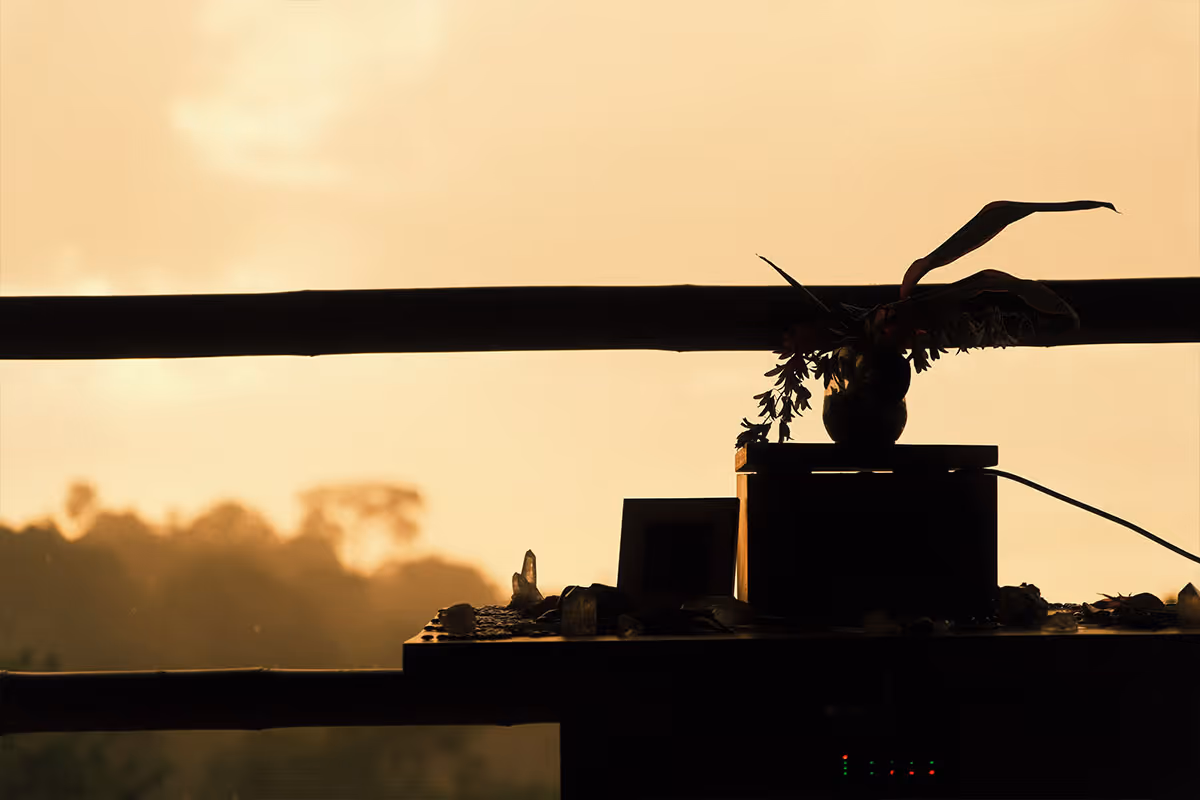 Silhouette of a small table with a vase holding leaves and flowers against a golden sunset sky.