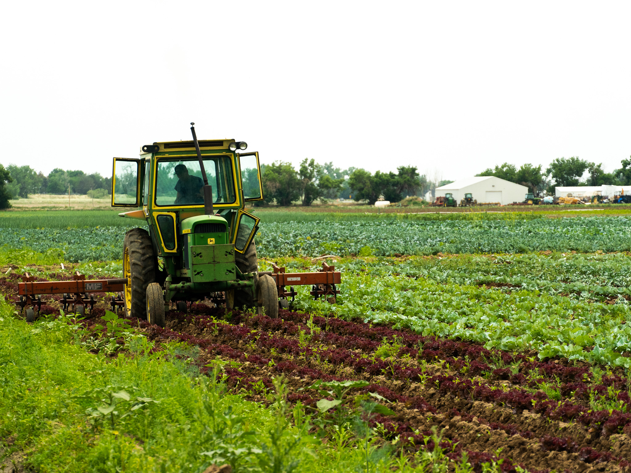 Palizzi Farmstand photo