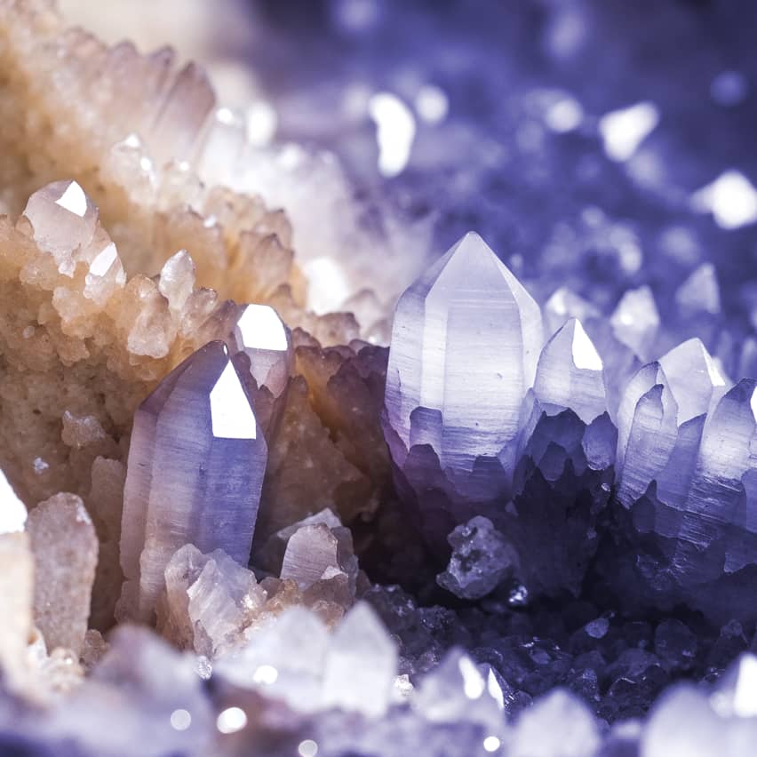 Gallery Image - Gummie Webflow Template