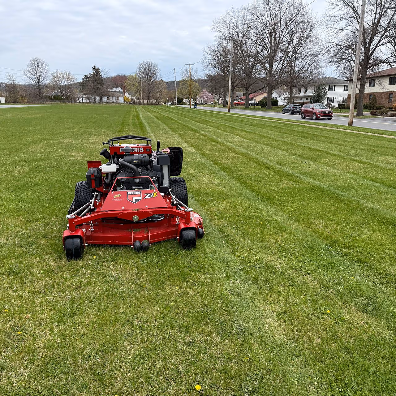 Professional landscaping and lawn maintenance near me in Williamsport PA