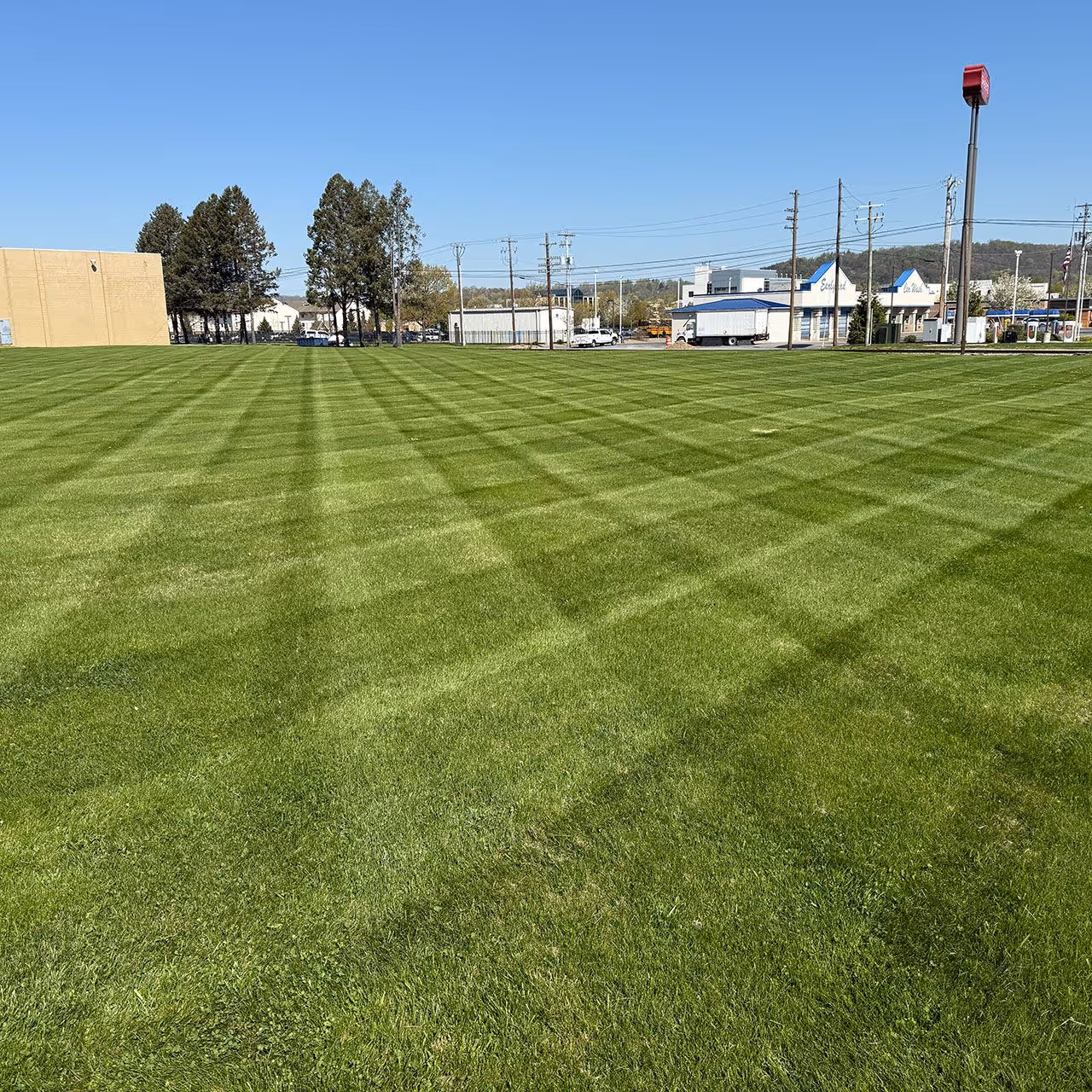 Professional lawn care and maintenance near me in Williamsport, PA
