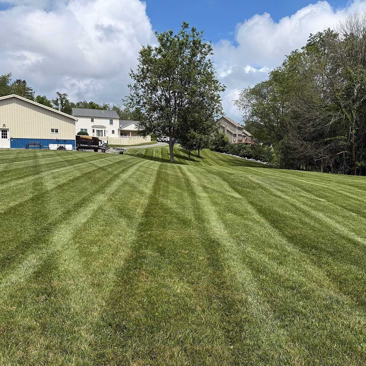 Commercial lawn care services for businesses and properties in Williamsport, PA