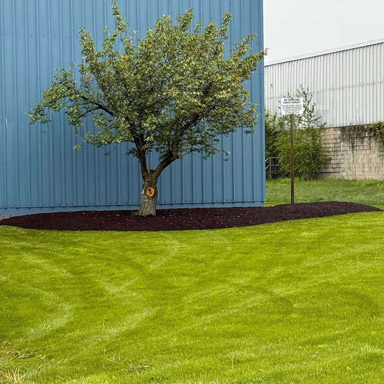 Landscape mulch installation near me in Williamsport, PA for clean, well-defined garden beds