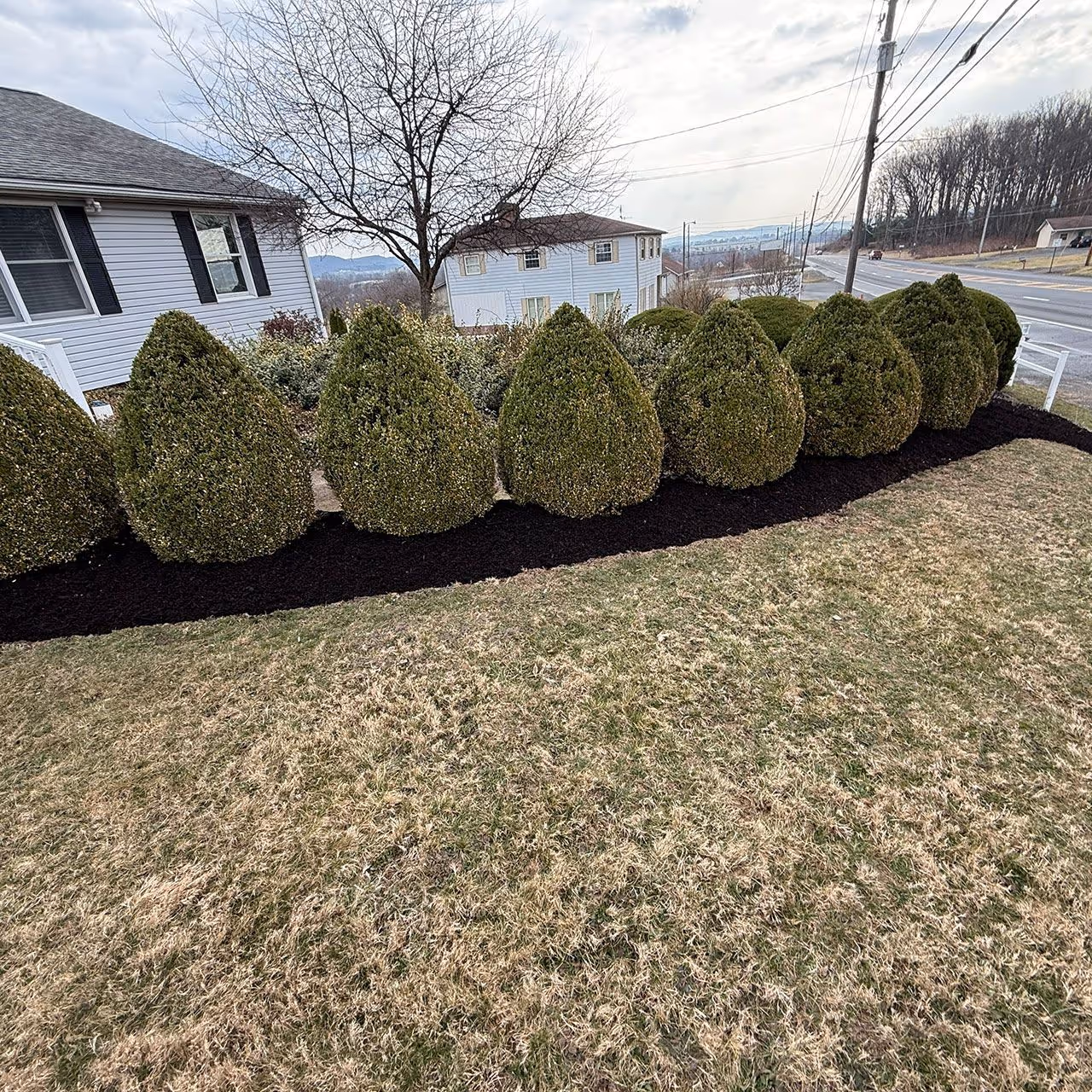 Shrub and hedge trimming services in Williamsport, Pennsylvania by Ryan’s Lawn Care & Snow Removal