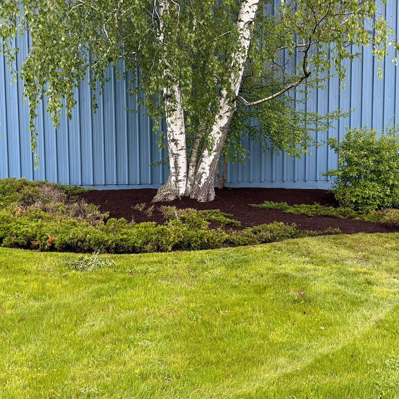 Weekly lawn care services for residential properties near me