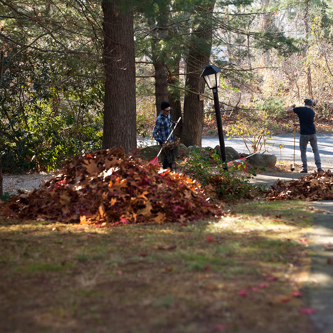 Leaf raking services in Williamsport, Pennsylvania by Ryan’s Lawn Care & Snow Removal
