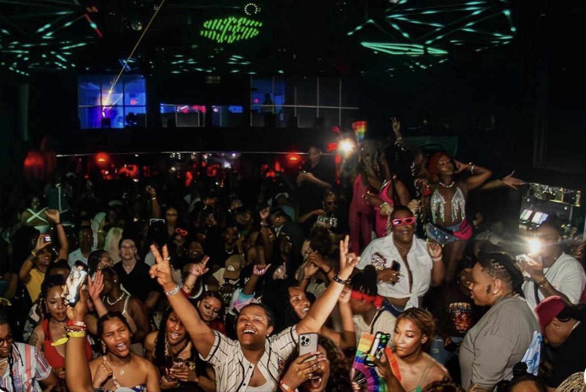 image of a concert crowd