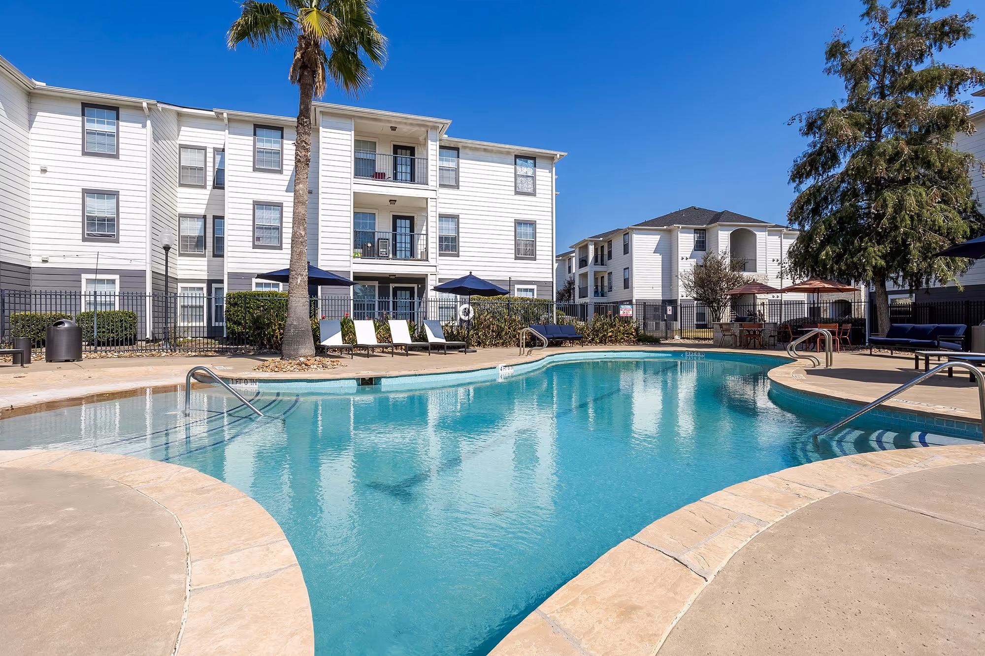 Pool with palm trees