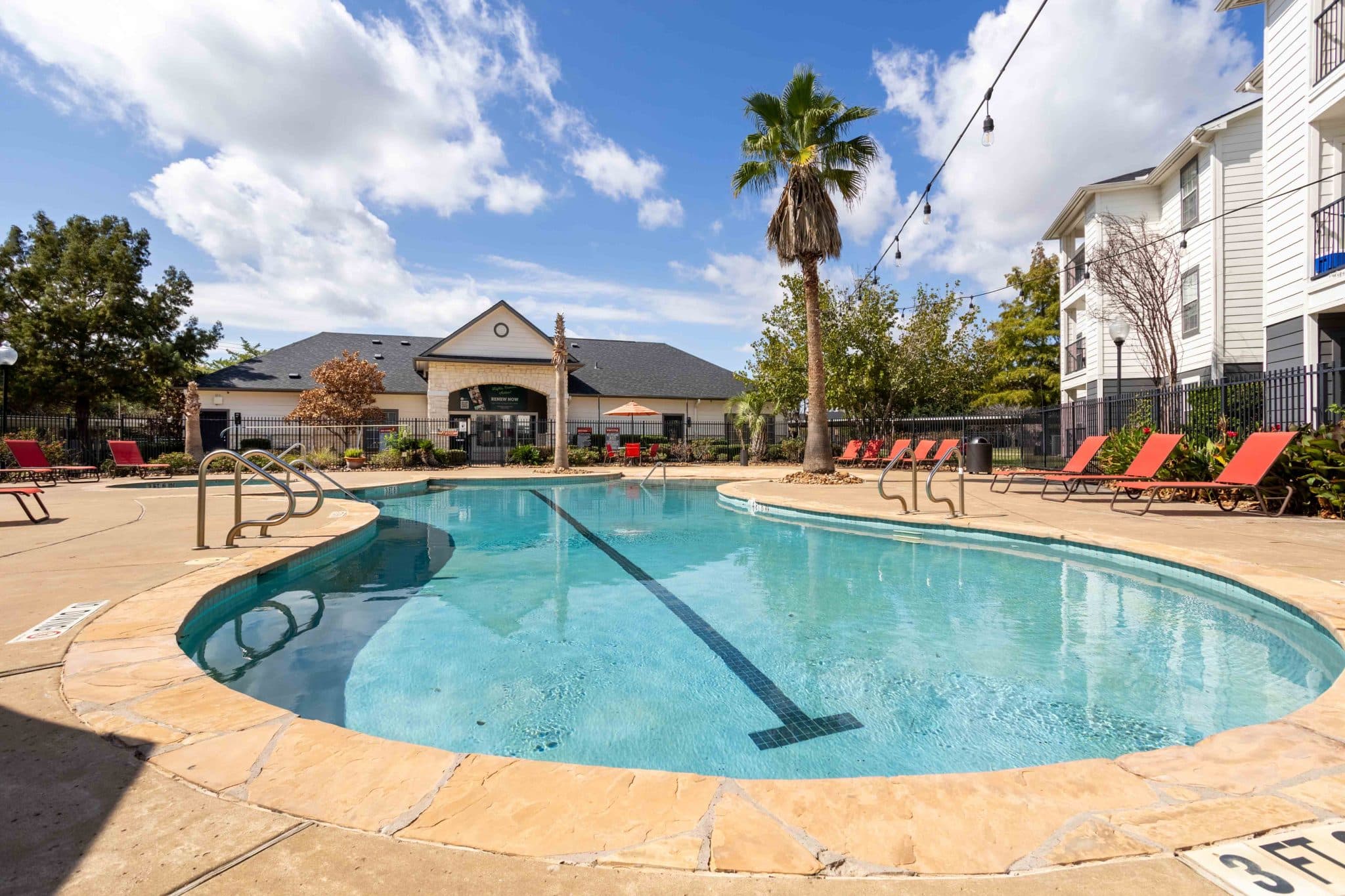 Pool with palm trees