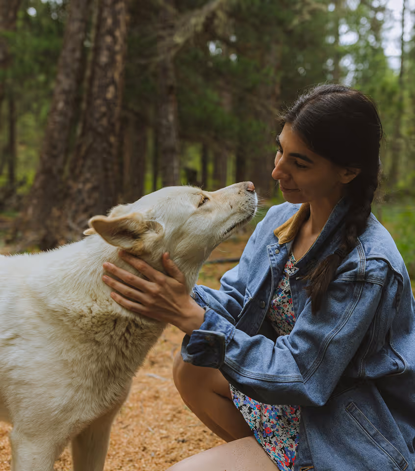 Woman crouching and gently holding a white dog’s face in a forest setting.