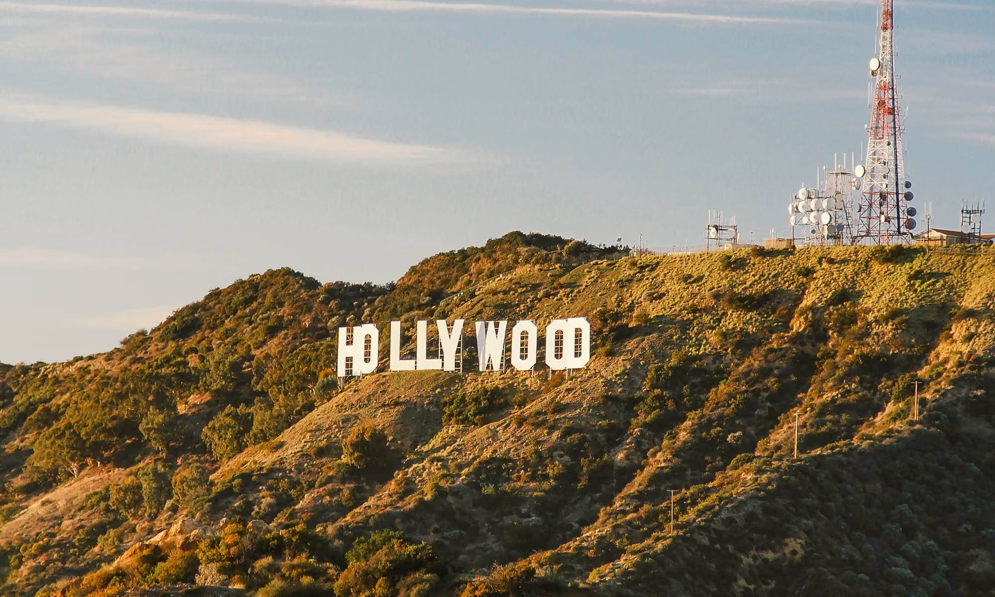 This is the Hero Image for the Hollywood item
