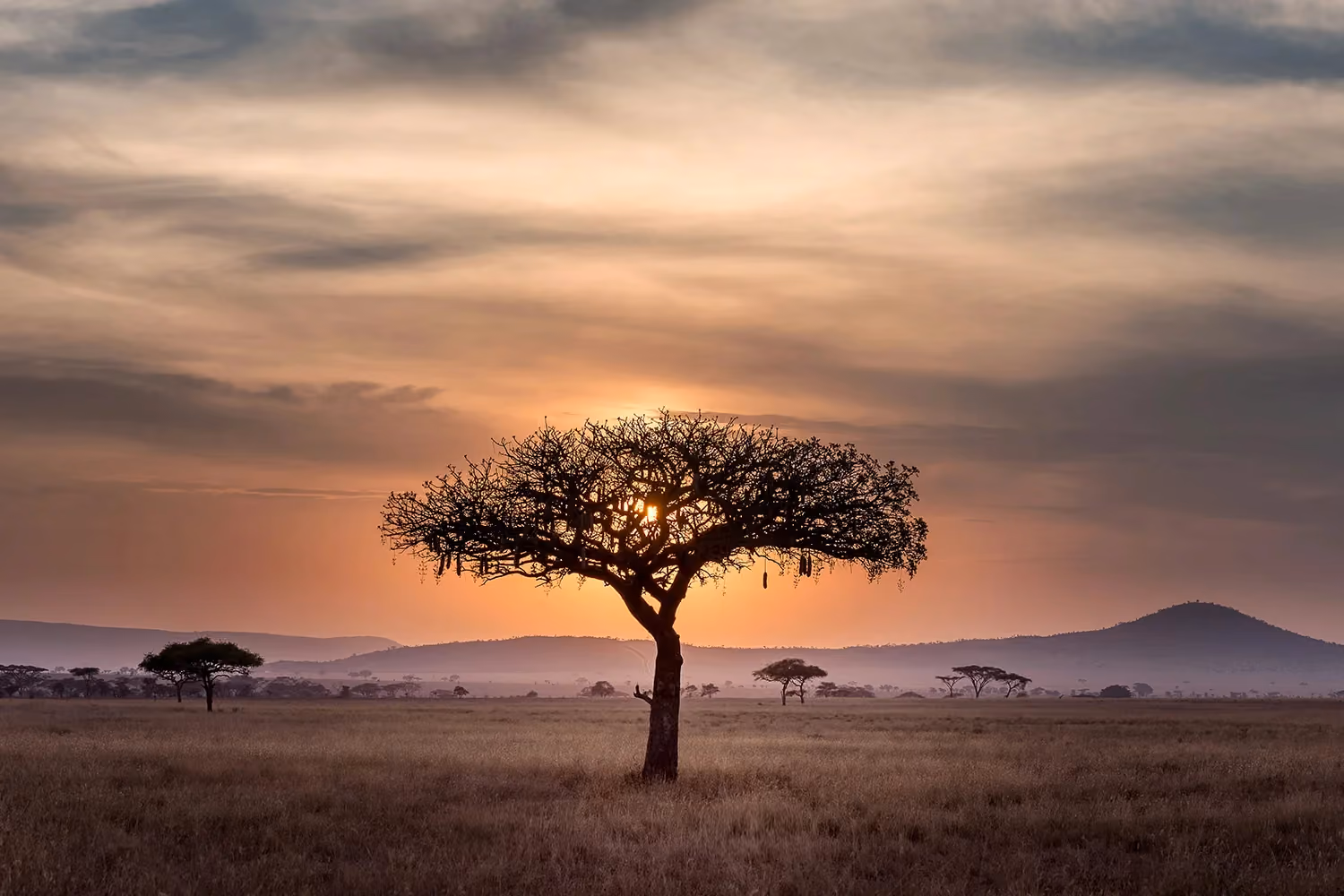 This is the Thumbnail for the Tanzania: 8 days Safari - From Plains to Crater  item