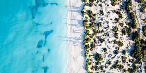This is the Thumbnail for the Travel Guide: Turks & Caicos item
