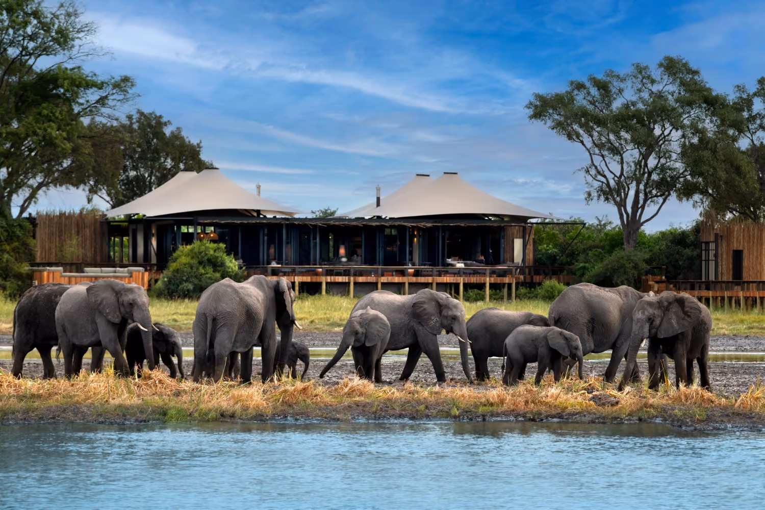 This is the Thumbnail for the Scenic Safari Camp in Botswana with Pool, Spa, and Private Chef  item
