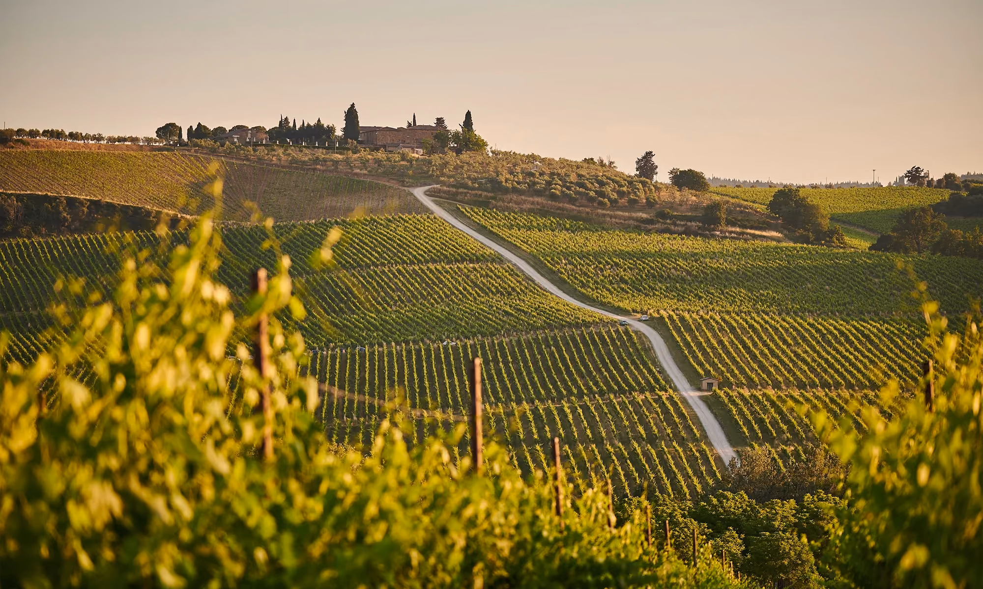 This is the Hero Image for the Tuscany item