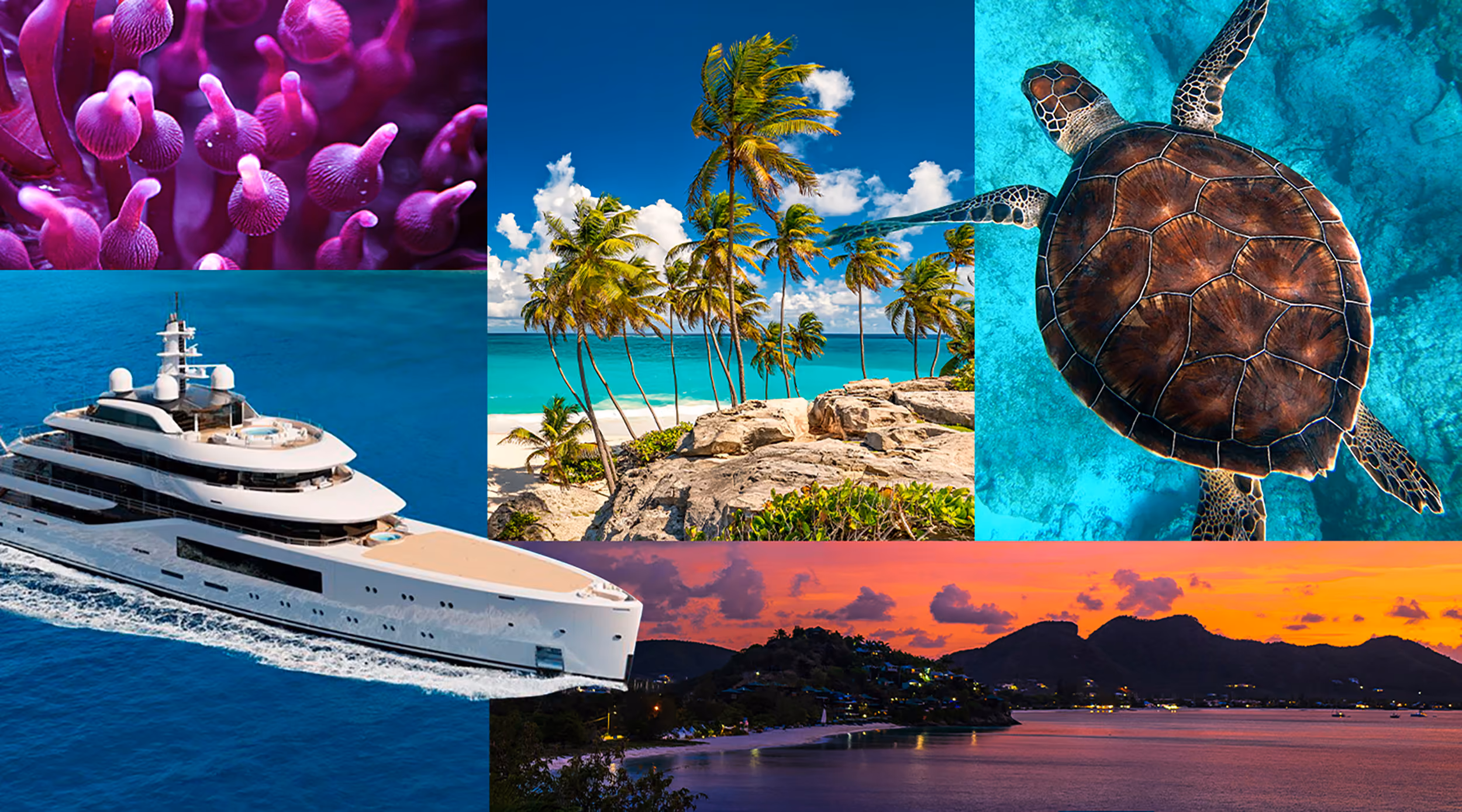 This is the Hero Image for the Caribbean item