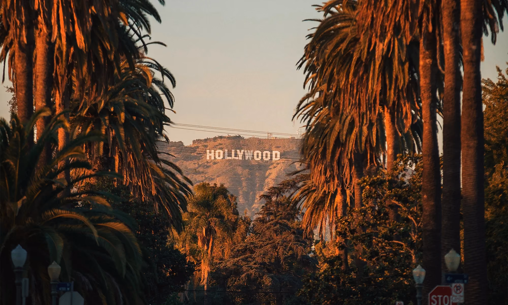 This is the Hero Image for the Los Angeles item
