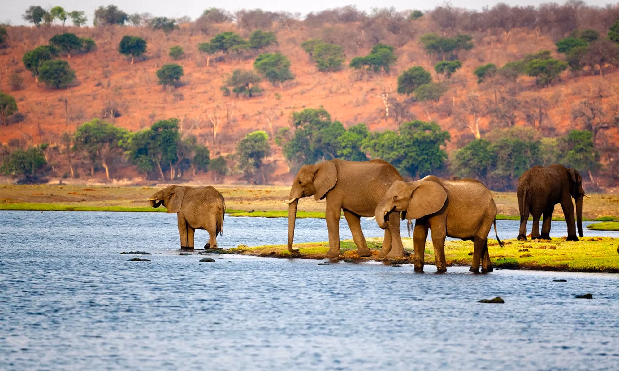 This is the Hero Image for the Botswana item