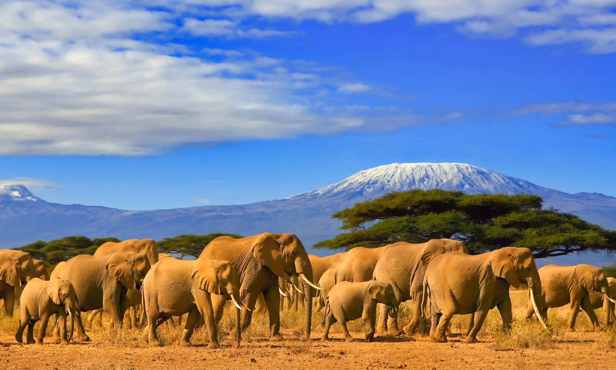 This is the Hero Image for the Tanzania item