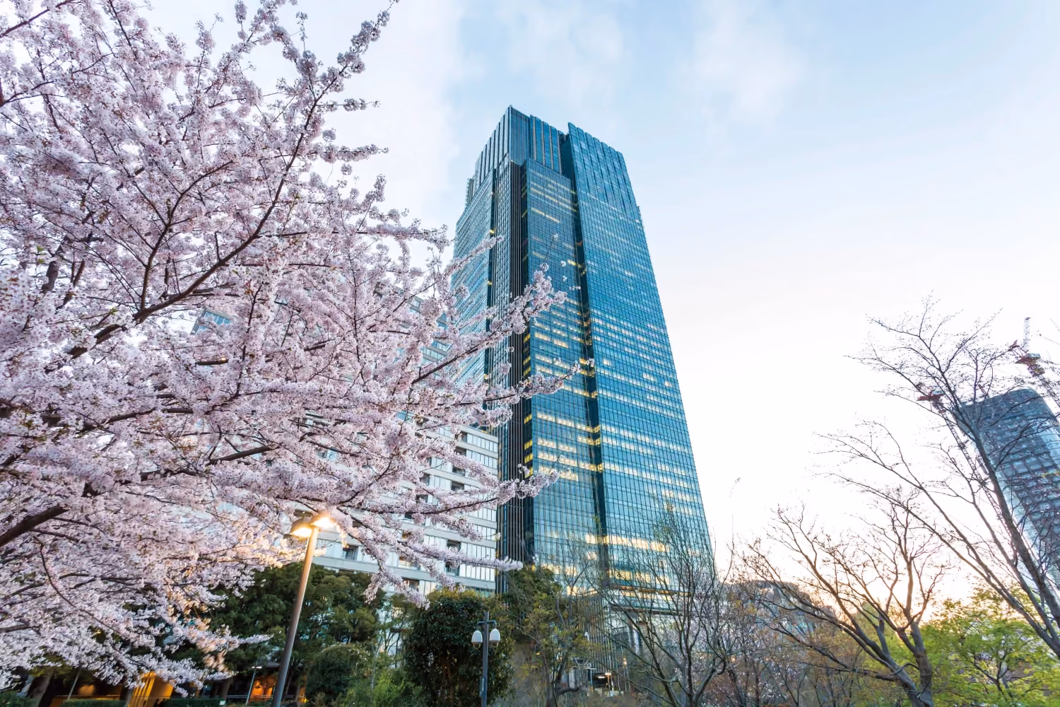 This is the Thumbnail for the The Ritz-Carlton, Tokyo item