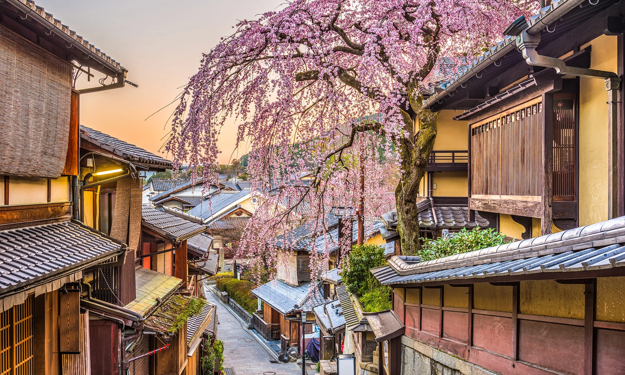 This is the Hero Image for the Kyoto item