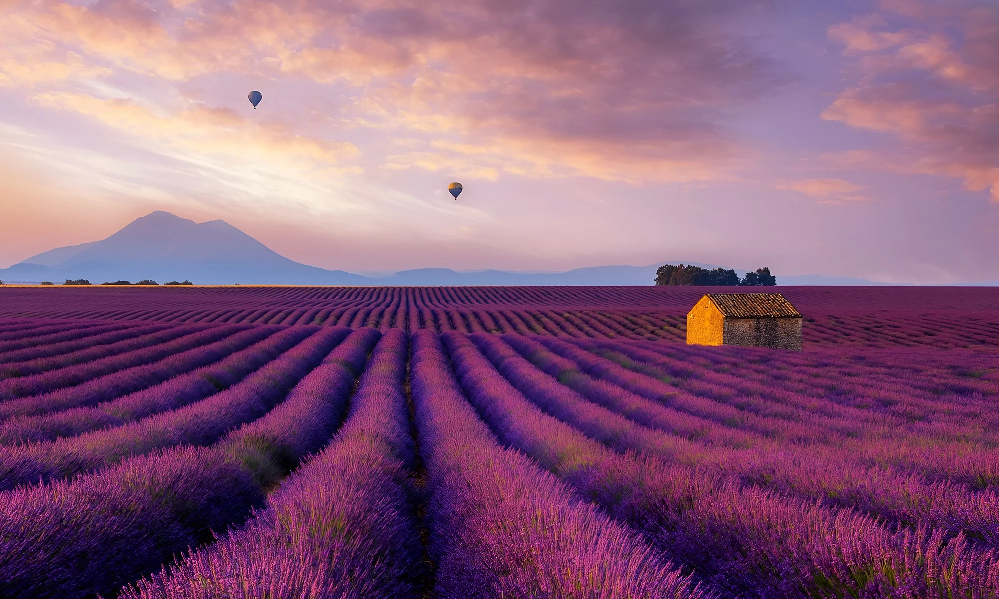 This is the Hero Image for the Provence item