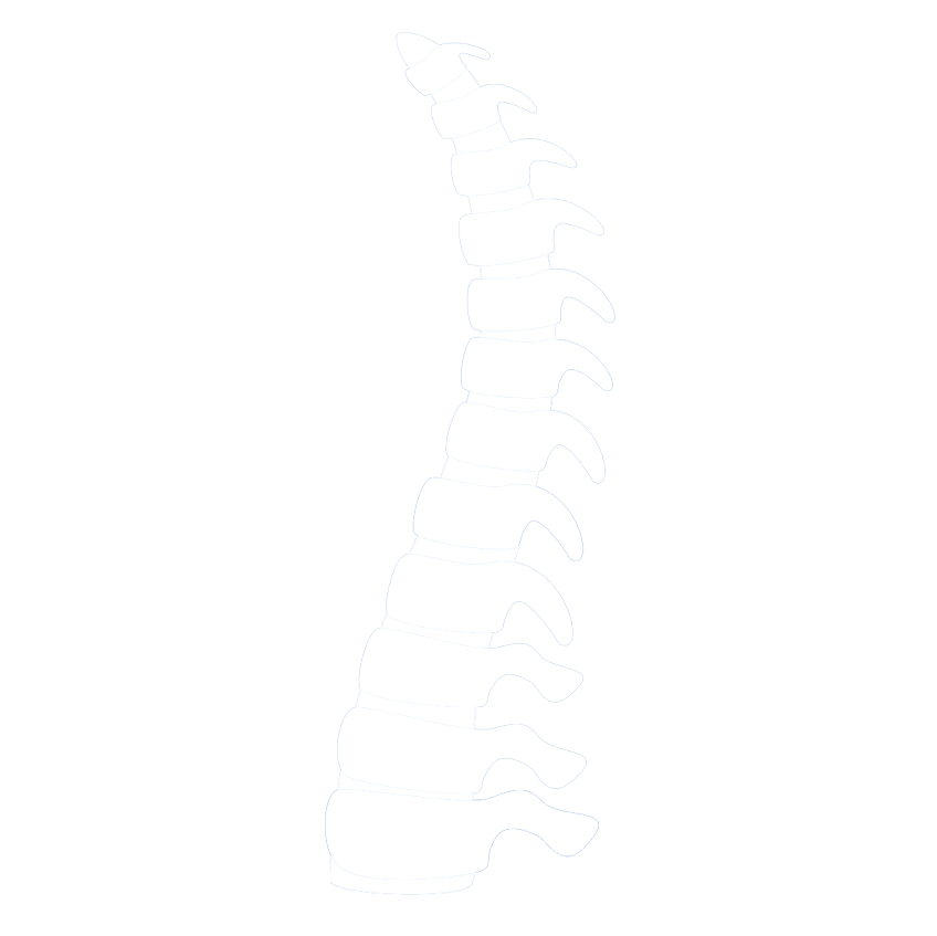 spine icon