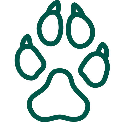 Pet Insurance Icon