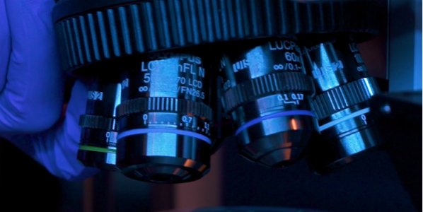 Microscopes.